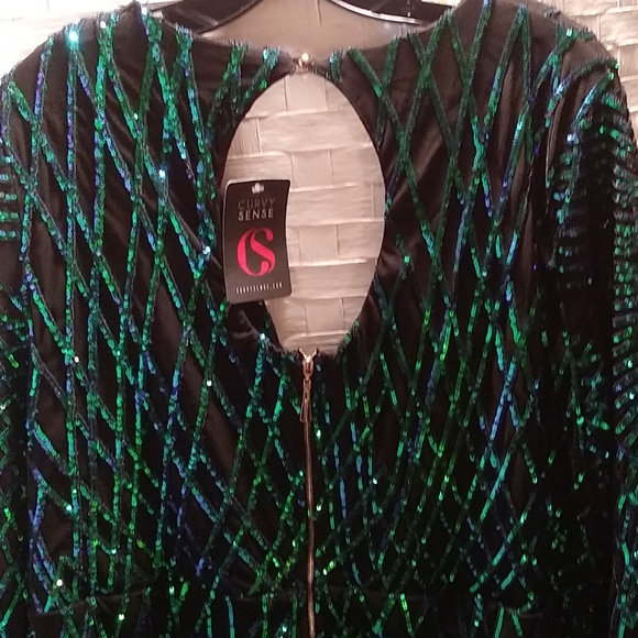 For Curvy Girls. Sequined Knit Mini NWT - Picture 10 of 14